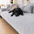 Svart labrador pa ljusgratt soffskydd